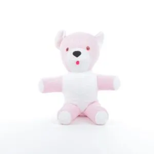 Caroline the Teddy Bear – A Loving Replica